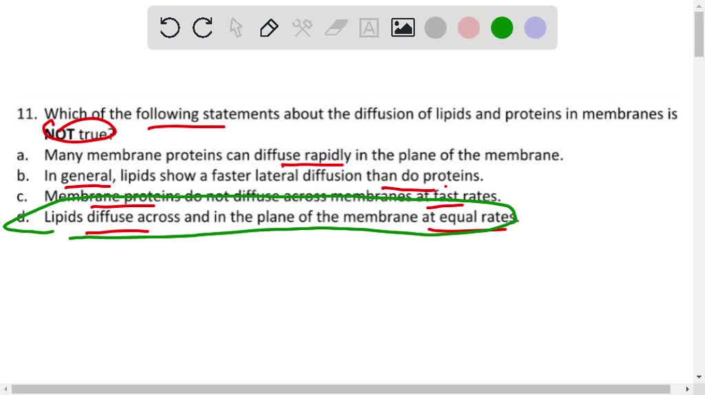 SOLVED It's true about the movement of lipids within a biological