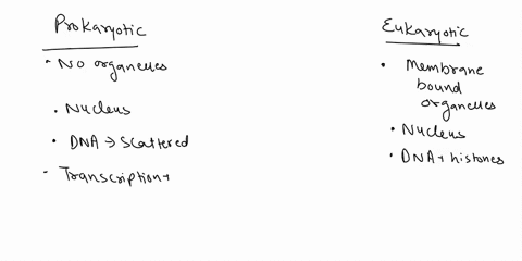 which-of-the-following-best-distinguishes-a-prokaryotic-cell-from-a-eukaryotic-cell-a-prokaryotic-ce-94576