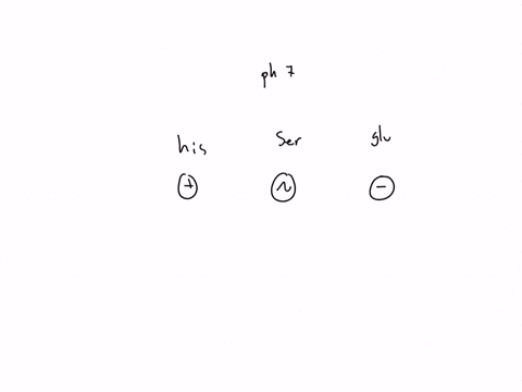 at-what-ph-would-you-carry-out-an-electrophoresis-experiment-if-you-wanted-to-separate-a-mixture-of-21005