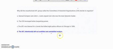 why-did-the-unauthorized-afl-group-called-the-committee-of-industrial-organizations-cio-decide-to-organize-a-samuel-gompers-and-john-l-lewis-argued-over-who-was-the-most-dynamic-leaderb-the-11159