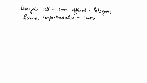 40-eukaryotic-cells-are-substantially-larger-than-bacterial-cells-and-average-over-20-times-more-volume-per-surface-area-than-bacterial-cells-how-can-the-eukaryotic-cell-membrane-provide-thi-20197