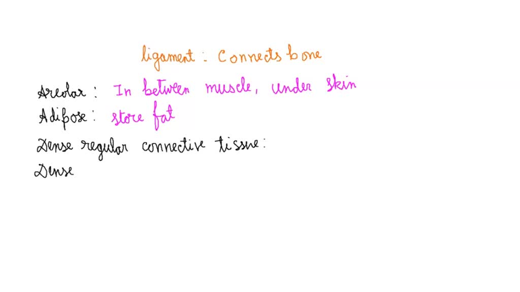 SOLVED A situation where the bones are connected exclusively by