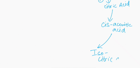 question-29-25-pts-for-each-two-carbon-atom-c2-fragment-that-enters-the-citric-acid-cycle-how-many-atp-molecules-are-produced-in-the-citric-acid-cyclealone-04374