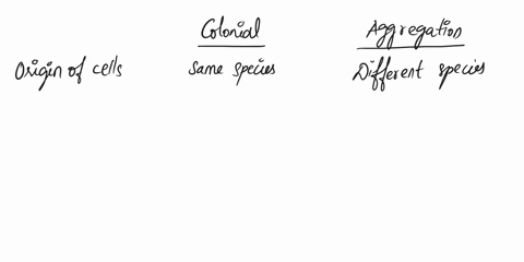 what-is-a-key-difference-between-the-colonial-and-aggregation-hypotheses-for-multicellularity-43176