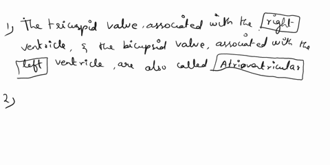 structures-associated-with-valves-complete-the-following-sentences-about-the-functioning-of-the-valves-cause-the-valves-to-open-chordae-tendineae-prevent-the-valves-from-pushing-up-into-the-66288