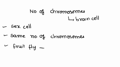 ploidy-refers-to-the-number-of-complete-sets-of-chromosomes-genes-present-in-a-cell-the-number-of-chromosomes-in-a-complete-set-is-a-fixed-characteristic-of-a-species-humans-are-diploid-with-11451