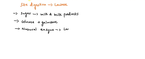 where-in-the-gastrointestinal-tract-do-you-usually-digest-lactose-22766