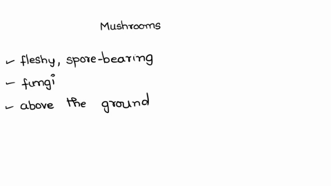 mushrooms-are-a-fungi-b-algae-c-virus-d-bacteria-96905