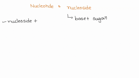 what-is-the-difference-between-a-nucleotide-and-a-nucleoside-a-nucleotides-specifically-have-deoxyribose-b-nucleotides-do-not-have-a-sugar-group-c-nucleoside-does-not-have-a-phosphate-group-31397