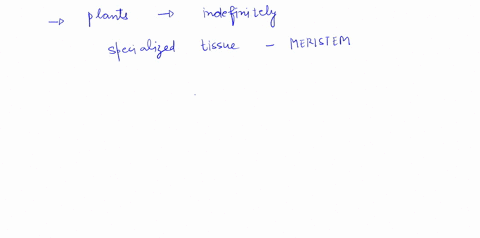 what-tissues-continue-to-grow-throughout-the-life-of-a-plant-dcrmal-mcrisrem-vascular-0-flonl-48742