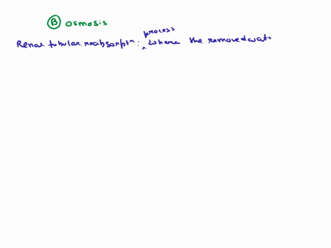 water-reabsorption-by-the-renal-tubules-uses-solvent-drag-osmosis-active-transport-ocotransport-none-of-these-choices-is-correct-63855