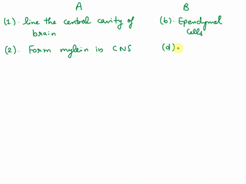 match-the-names-of-the-cells-in-column-b-with-the-function-they-perform-shown-in-column-acolumn-a-column-b1-line-the-central-cavity-of-the-brain-a-astrocytes2-form-myelin-in-the-cns-b-ependy-31778