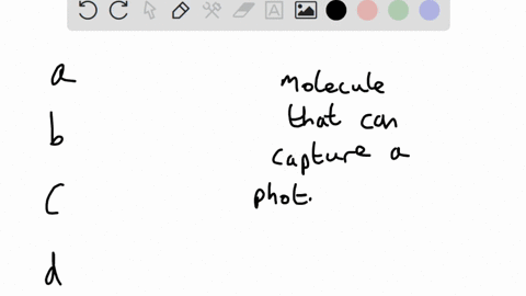 which-of-the-following-is-not-a-type-of-pigment-that-can-be-used-for-photosynthesis-group-of-answer-choices-carotenoids-chlorophyll-b-cellulose-chlorophyll-a-58225