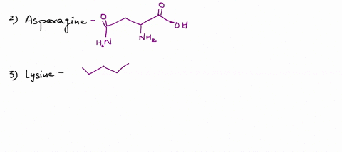 question-2-2-pts-which-of-the-following-amino-acids-have-polar-uncharged-r-groups-serine-and-asparagine-lysine-and-cysteilie-methionine-and-glulamine-tryptophan-and-tyrosine-previous-13829