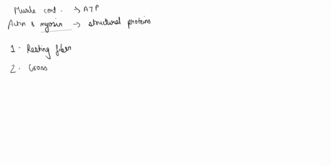 put-the-events-of-the-cross-bridge-cycle-in-order-beginning-with-the-figure-at-the-top-and-moving-clockwise-atp-is-hydrolyzed-ard-phosphate-binds-to-myosin-causing-cross-brdge-retum-10-its-o-16627