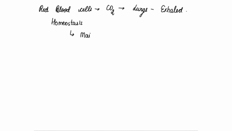 which-of-the-following-is-not-an-example-of-homeostasis-red-blood-cells-transferring-carbon-dioxide-to-the-lungs-to-be-exhaled-the-digestive-system-breaking-food-into-smaller-pieces-that-can-20532
