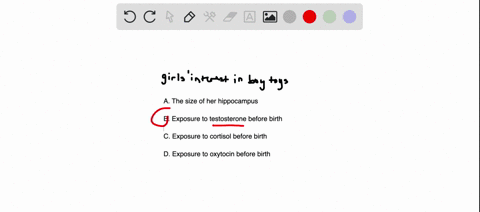 a-girls-interest-in-boys-toys-correlates-positively-with-which-of-the-following-a-the-size-of-her-hippocampus-b-exposure-to-testosterone-before-birth-c-exposure-to-cortisol-before-birth-d-ex-33296