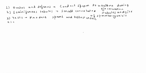 3-match-the-structure-with-the-corresponding-description05-point-noof-structure-name-of-structure-description-1ductus-vas-produce-sperm-and-testosterone-deferens-2areola-small-convoluted-tub-10677