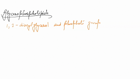 glycerophospholipids-are-all-except-members-of-the-phospholipids-made-up-of-12-diacylglycerol-and-phosphate-group-also-called-sphingolipids-essential-components-of-cell-membranes-all-other-c-97576
