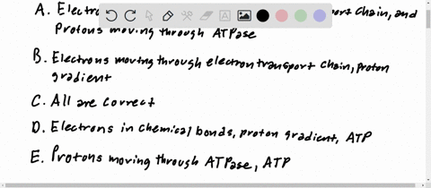question-15-which-of-the-following-are-examples-of-potential-energy-electrons-moving-through-the-electron-transport-chain-and-protons-moving-through-atpase-electrons-moving-through-electron-90527