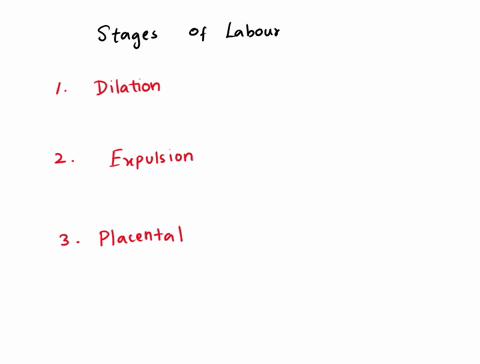 expel-the-afterbirth-uterine-contractions-crowning-babys-head-is-ruptures-amniotic-sack-event-r-28-female-reproductive-system-match-each-stage-of-childbirth-with-the-events-to-which-it-perta-74896