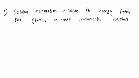 3-why-does-a-marshmallow-burn-over-an-open-fire-but-not-in-a-microwave-53644