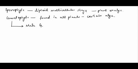 11-describe-each-of-the-following-sporophyte-gametophyte-12-which-plant-stage-sporophyte-or-gametophyte-dominant-in-the-most-primitive-group-of-plants-13-which-plant-stage-is-represented-by-42887