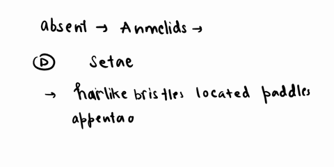 question-31-which-of-the-following-is-nol-present-in-all-annelids-complete-alimentary-canal-coelom-segmented-setae-metanephridia-13562