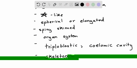 echinoderms-are-a-very-large-group-of-marine-animals-comprising-at-least-six-classes-ahow-does-the-word-echinoderm-characterize-these-animals-bwhat-structures-are-used-by-echinoids-for-gaseous-exchang