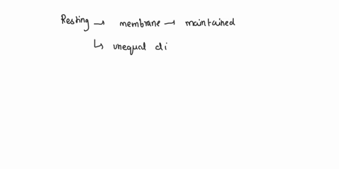 when-the-membrane-is-at-rest-are-the-sodium-ions-more-concentrated-inside-the-cell-or-outside-where-are-the-potassium-ions-more-concentrated-27874