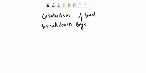during-catabolism-of-food-heat-is-released-where-does-this-energy-go-all-of-the-above-are-possible-it-is-transferred-to-atp-it-is-used-in-movement-it-is-turned-into-heat-energy-it-is-used-to-43897