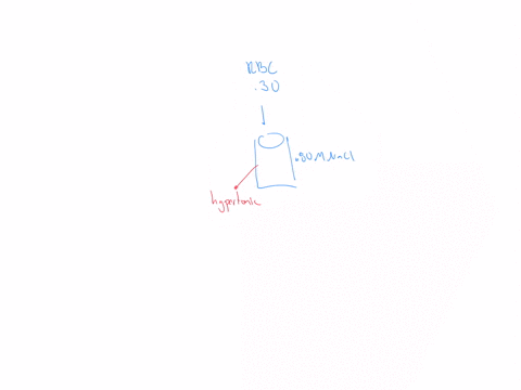 a-red-blood-cell-has-a-molarity-of-approximately-030m-a-red-blood-cell-is-placed-in-a-beaker-that-contains-aqueous-080m-nacl-the-solution-in-the-beaker-is-___________-group-of-answer-choices-39114