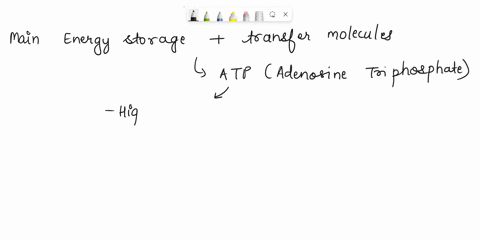 what-is-the-main-energy-storage-and-transfer-molecule-in-the-cell-17617