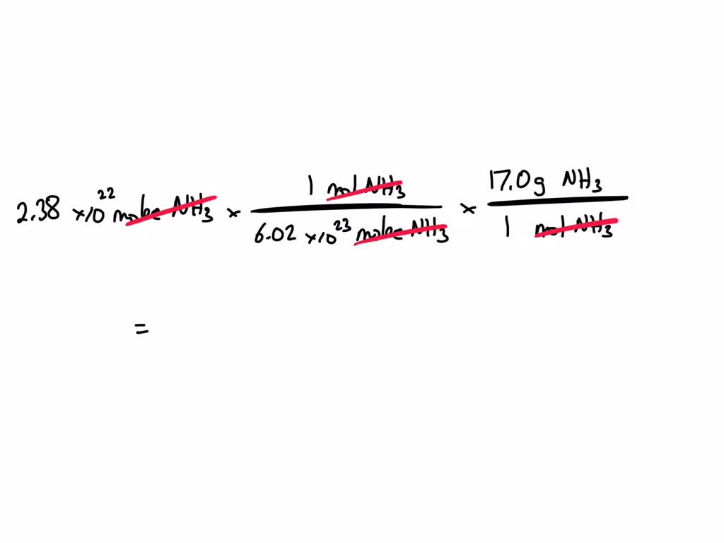 SOLVED: How many grams are in 2.38 × 1022 molecules of ammonia (NH3)?
