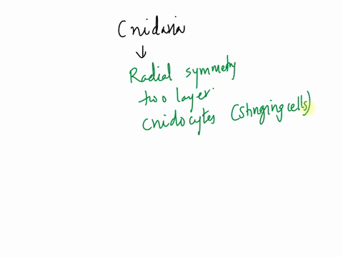 what-type-of-skeleton-do-cnidarians-have-endoskeleton-exoskeleton-or-none-90355