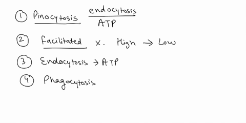 materials-intoout-of-ccll-circle-the-ones-mejns-transporting-2-pts-of-the-following-that-require-atpenergy-exocytosis-pinocytosis-active-transport-facilitated-diffusion-osmosis-endocytosis-r-08212