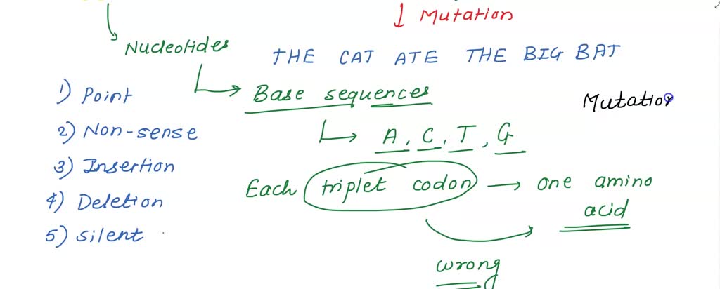 SOLVED: If the wild type DNA sequence reads THE CAT ATE THE BIG RAT ...