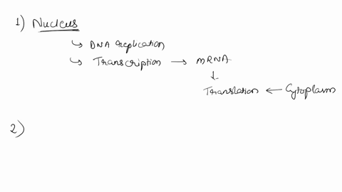 mdle-foedback-submit-ransiaton-hl-mrna-rna-l-the-approprlate-blanks-the-rght-to-complete-the-sentences-1-called-sequence-nucical-exlts-dna-dna-1-2-v-nucieus-onc-nucieoloe-ol-nucleotides-ihis-79066