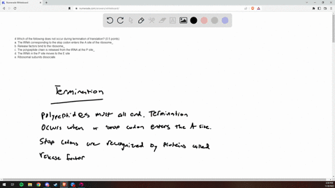4-which-of-the-following-does-not-occur-during-termination-of-translation-05-points-a-the-trna-corresponding-to-the-stop-codon-enters-the-a-site-of-the-ribosome_-b-release-factors-bind-to-th-23746