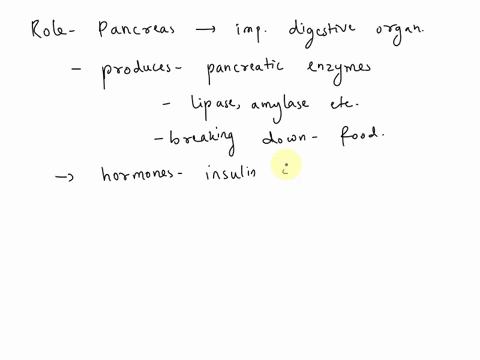 the-pancreas-is-responsible-for-producing-and-releasing-enzymes-for-digestion-in-the-stomach-transporting-digested-food-from-the-stomach-to-the-small-intestine-secretion-of-hormones-that-mai-60672