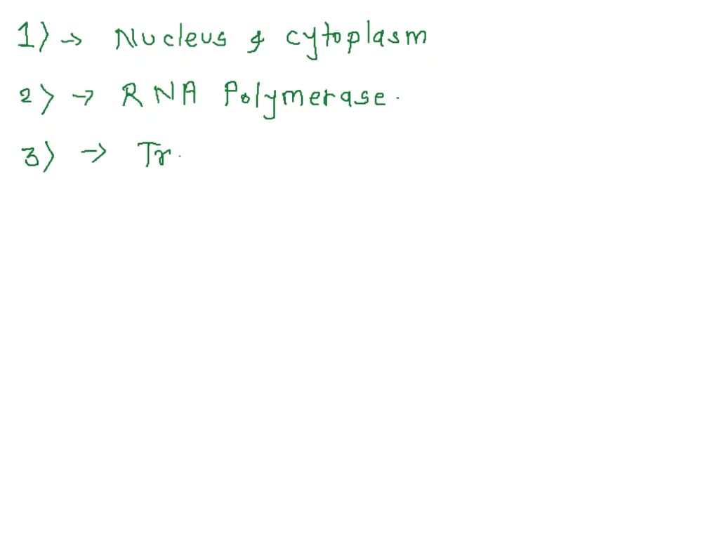 does dna replication occur during the process of transcription and translation