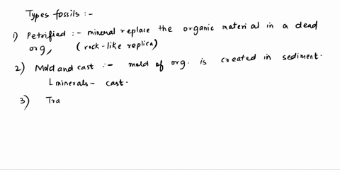 summarize-the-four-main-types-of-fossils-and-ice-cores-76677
