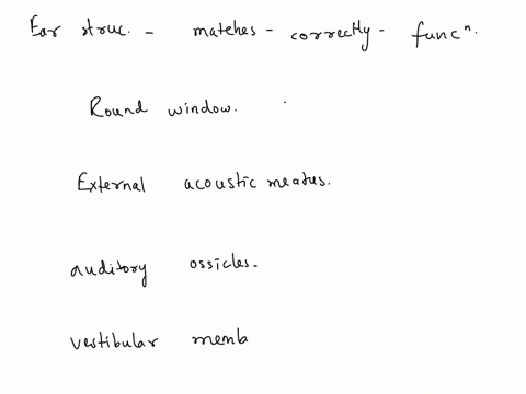 which-ear-structure-is-correctly-matched-with-its-function-a-round-window-transmits-sound-waves-into-the-inner-ear-b-external-acoustic-meatus-directs-sound-waves-to-the-tympanic-membrane-c-a-75642