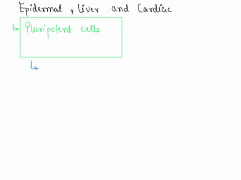 question-4-liver-cell-and-cardiac-muscle-cell-which-type-of-cell-is-capable-of-becoming-an-epidermal-cell-unipotent-stem-cell-stratum-basale-stem-cell-keratinocyte-multipotent-stem-cell-plur-85215