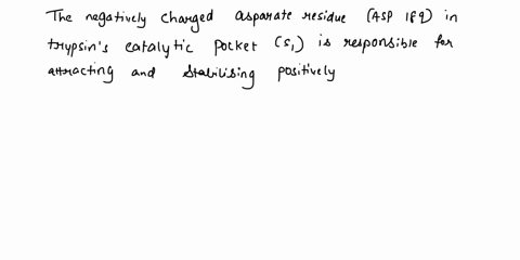 3-trypsin-selectively-cleaves-polypeptide-chains-on-the-carbonyl-side-of-the-amino-acids-arginine-or-lysine-briefly-explain-the-selective-nature-of-trypsin-towards-these-amino-acids-4-b-usin-81422