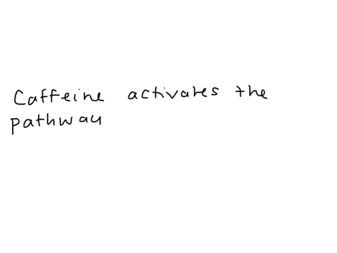 how-does-caffeine-increase-arousal-14557