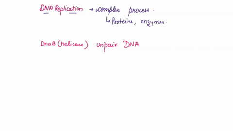what-proteins-are-involved-in-dna-replication-explain-the-process-of-dna-replication-detailing-the-proteins-involved-and-their-roles-from-a-molecule-of-double-standard-dna-to-two-molecules-o-41566