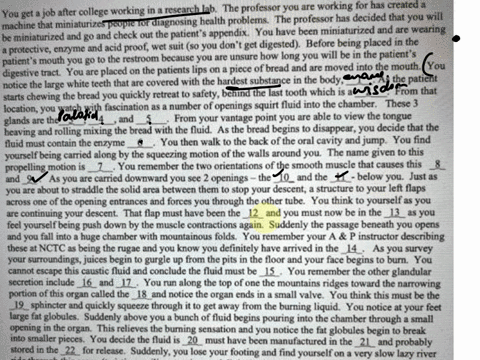am-amabont-and-physiology-digestion-please-fill-in-the-blanks-job-after-college-working-in-rescarch-lab-the-professor-you-are-working-for-has-created-a-you-get-tor-diagnosing-health-problems-08924