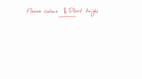 two-of-the-traits-mendel-used-in-his-historic-experiments-with-pea-plants-are-flower-color-purple-vs-white-and-plant-height-tall-vs-short-in-pea-plants-the-gene-responsible-for-flower-color-29367