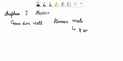 choose-the-false-statement-enzymes-have-a-rigid-shape-and-this-allows-the-perfect-fit-of-substrate-and-enzyme-and-the-changing-of-the-substrate-into-product-the-active-site-contains-the-amin-49837